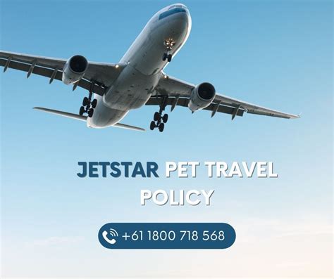 jetstar pet travel cost